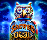 Sacred Owl